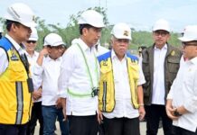 Diberi Arahan Jokowi, Menpan RB Langsung Kebut Skema Tunjangan ASN di IKN