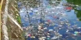 Harapan Supian Suri Wisata Ikan Cuma Angan, Situ Asih Pulo Kini jadi Lautan Sampah