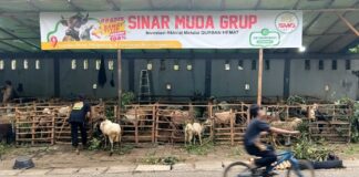 Gak Main-main, Beli Hewan Kurban di Lapak Sinar Muda Grup Bergaransi 100 Persen