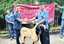 Idul Adha 2026, Citimall Cimanggis Berbagi Hewan Kurban untuk Warga Sekitar