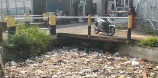 Dirasa Bukan Tugasnya, DLHK Ogah Angkut Tumpukan Sampah di Situ Citayam!